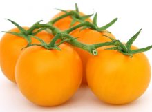 roșii Portocalie Movila