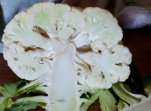 soiuri conopida